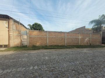 Terreno / Lote · 733m² · Terreno en Renta en El Vergelito