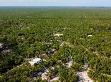 Terreno / Lote · 343m² · Lotes Unifamiliares en Venta Magnifico Desarrollo de Lujo en Tulum Centro