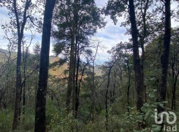Terreno / Lote · 95174m² · En Venta Terreno Boscoso en El Pueblo Magico de Omitlan, Hgo.