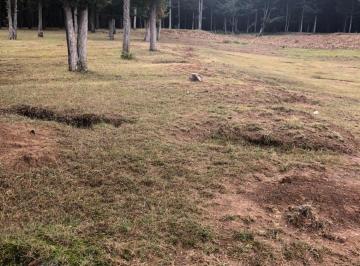Terreno / Lote · 1300m² · Terreno en Venta Villa Victoria