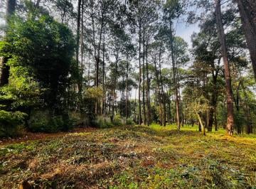 Terreno / Lote , Valle de Bravo · Terreno en Venta en Valle de Bravo a 5 Min del Centro de Avándaro y Club de Golf
