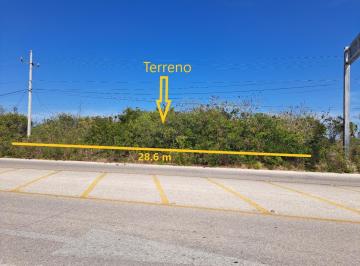 Terreno / Lote · 3753m² · Terreno en Esquina en Venta en a Pie de Carretera en Playa San Bruno, Dzemul Yuc - (4)
