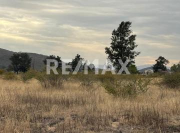 Terreno / Lote · 1000m² · Terreno en Venta - (4)