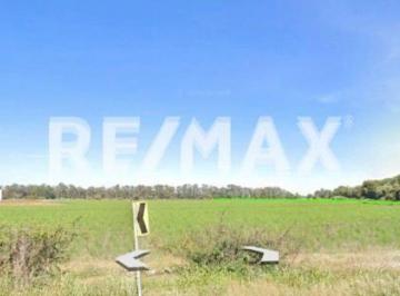 Terreno industrial · Terreno Agricola en Venta. 175 Hectáreas - (4)