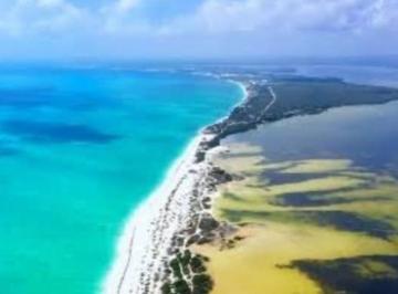 Terreno / Lote , Lázaro Cárdenas · Venta de Terreno en Playa Cabo Catoche