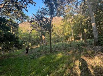 Terreno / Lote , Minatitlán · Venta de 19 Hectáreas a Pie de Carretera de Colima a Minatitlán un Paraíso