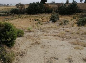 Terreno / Lote , Zinacantepec · Terreno, Ejido en Venta, Santa Cruz Cuauhtenco, Zinacantepec, Sálida a Av Las Torres, Edo. Méx.