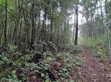Terreno / Lote · 30000m² · Terreno en Cerro Gordo