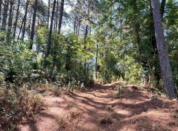 Terreno / Lote · 90000m² · Terreno en Cerro Gordo
