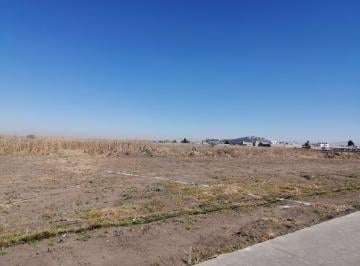 Terreno / Lote , Calimaya · Terreno / Lote en Venta, Sobre Av, La Conchita, Calimaya, a 10 Min de Metepec, Galerias Metepec