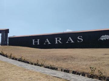 Terreno / Lote , Puebla · Terreno Venta Fracc. Residencial Haras
