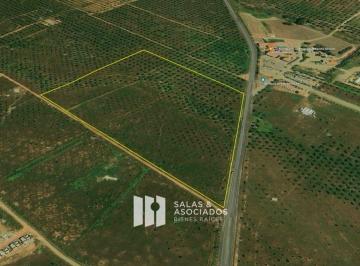 11b56c4590d00f5e30c2420bd0fcc783ea77b95177795ebc6f126b9a8aa2df61 · 7 Ha Frente Al Nuevo Valquirico de Valle de Guadalupe