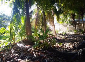 Terreno / Lote , Lázaro Cárdenas · Terreno en Venta Holbox 3 Lineas Cerca a La Playa