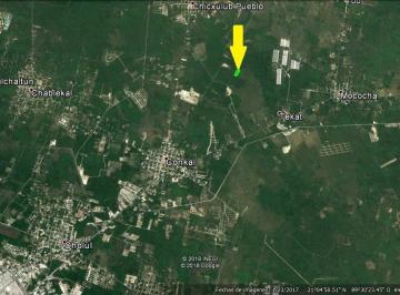 Terreno / Lote · 26610m² · Terreno de 2.6 Has en Venta Al Norte de Mérida - Conkal