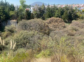 Terreno / Lote · 11000m² · Terreno en Venta en Jilotzingo, Enfrente de Torres Livet