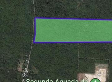 Terreno / Lote · 220000m² · Terreno - Pueblo San Antonio Chel