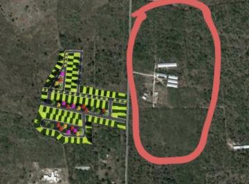 Terreno / Lote · 75000m² · Terreno - Mocochá