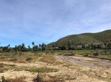 Terreno / Lote · 11546m² · Todo Santos Land For Your Farm Todos Santos - Mls#23 - 1166 - (4)