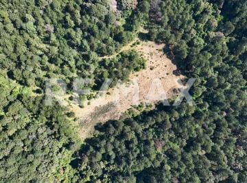 Terreno / Lote · 224516m² · Terreno en Venta - (4)