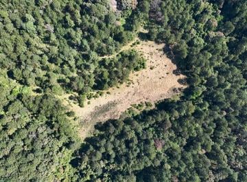 Terreno / Lote · 224516m² · Terreno en Venta - (4)