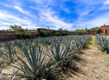 Terreno / Lote , El Arenal · Terreno en Venta en El Arenal, Jalisco.