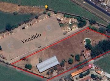 Terreno / Lote , Yautepec · ¡Terrenos Para Inversión! en Venta "Los Mangos" Cocoyoc (Olt - 4254)