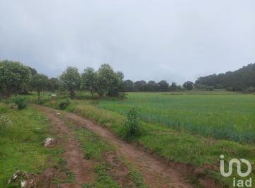 Terreno / Lote , Cuautepec de Hinojosa · Terreno en Venta Para Siembra en Cuautepec, hidalgo