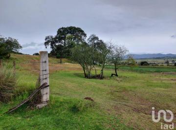 Terreno / Lote · 58333m² · Terreno Rustico Para Siembra en Venta en Cuautepec, Hidalgo