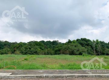 Terreno / Lote · 1030m² · Terreno en Venta Fraccionamiento Nuevo Coapexpan