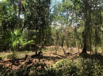 Terreno / Lote · 2000m² · Terreno en Vebra en Ruta de Los Cenotes