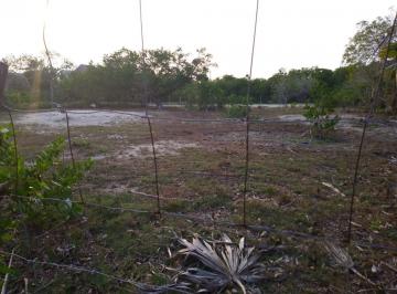 Terreno / Lote , Lázaro Cárdenas · Venta Terreno Escriturado Tercera Linea a La Playa Holbox
