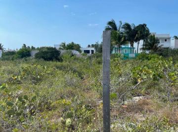 Terreno / Lote , Progreso · Terrenos en 4ta Fila en Chicxulub, a La Altura del Retén y Oxxo.