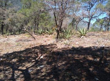 Terreno / Lote · 4132m² · Terreno / Lote en Venta en Arteaga