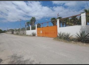 Rancho de 4 habitaciones, General Zuazua · Rancho Porcicultor en Venta, Zuazua, N. L.