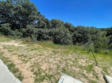 256e44a624fd0bbde0fa781b5b8cc9e54e8efe552ce422920056cc3d3d40441f · Terreno en Venta, Rancho San Juan, Mimbres