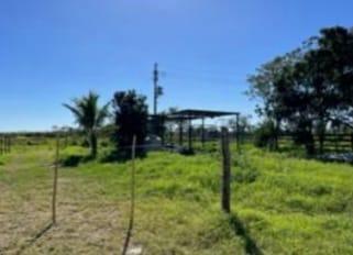 Terreno / Lote , Motul · Venta de Terreno Pertenece Al Municipio de Motul
