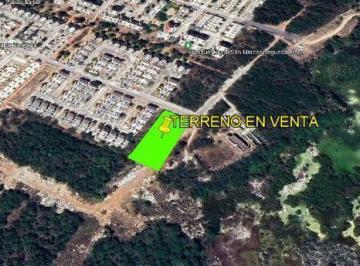 Terreno / Lote · 216964m² · Terreno en Esquina en Venta, en San Marcos Al Sur de Mérida