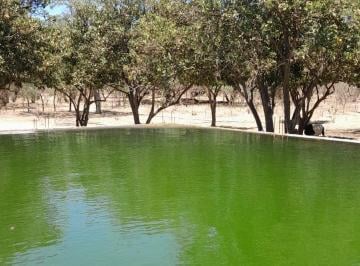 Rancho · 1000000m² · 1 Recámara · Enorme Rancho en Venta La Mesa del Molino Carr Todos Santos La Paz - (4)