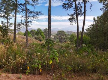 Terreno / Lote , Tapalpa · Terreno Boscoso en Tapalpa Country Club a Unos Pasos del Ho