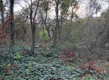 Terreno / Lote , San Pedro Garza García · Venta de Oportunidad Terreno en Palmillas