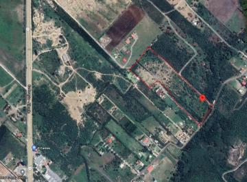 Terreno / Lote , Allende · Terreno Rustico en Venta en Los Sabinos Allende