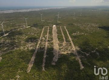 Terreno / Lote · 1979m² · Terreno Comercial en Venta en Progreso Yucatan