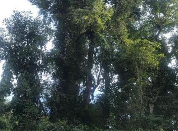 Terreno comercial , Tomatlán · Terreno en Venta en Tomatlán, Jalisco