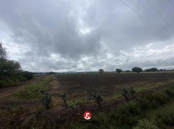 Terreno / Lote · 800000m² · Terreno en Carretera 200 Tequisquiapan