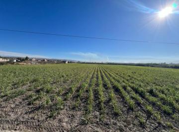 Se Vende Increible Terreno En Tala Con Acceso Por Carretera Perfecto Para Proyecto Industrial · Se Vende Increible Terreno en Tala con Acceso por Carretera Perfecto Para Proyecto Industrial