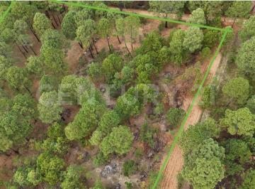 Terreno / Lote · 1254m² · Terreno en Venta en Tapalpa, Jalisco