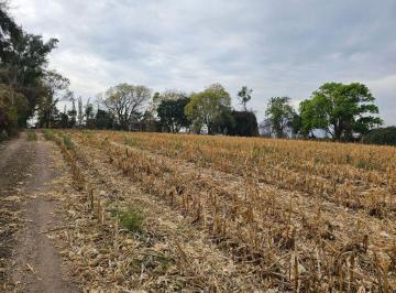 Rancho · 25000m² · 5 Recámaras · Rancho en Venta Camino a San Isidro Mazatepec
