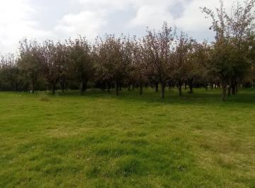 Terreno / Lote , Villa del Carbón · Terreno en Venta en Villa del Carbón Estado de México