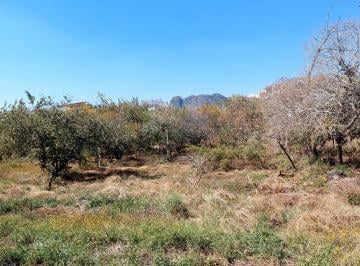 Terreno / Lote , Tepoztlán · Terreno en Venta en Tepoztlán Morelos