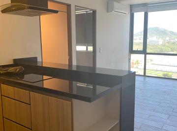 Departamento , Monterrey · Departamento Nuevo en Renta en Altana